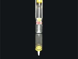 Disordering Pump-lead Sucker Record