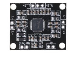 Pam8610 Class-d Mini Amplifier