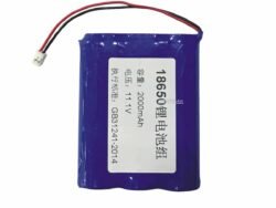 Karaoke Speaker Rechargeable Battery 11.1v