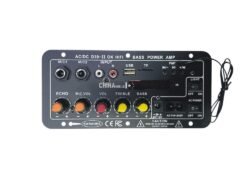 D-100watts Karaoke Plate Amplifier AC-DC