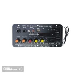 D-100watts Karaoke Plate Amplifier AC-DC